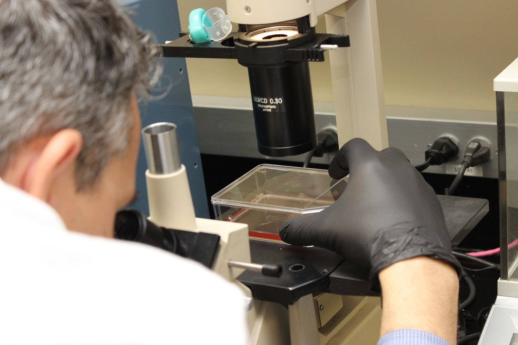 Testing Microarray-Based System